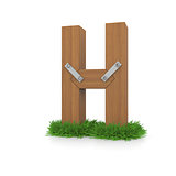 Wooden letter H in the grass