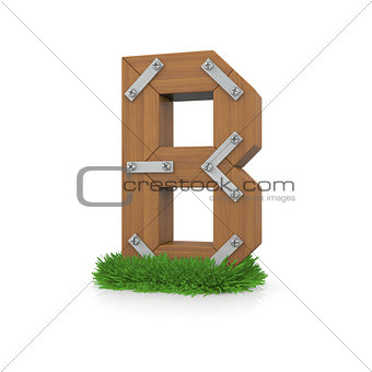 Wooden letter B in the grass