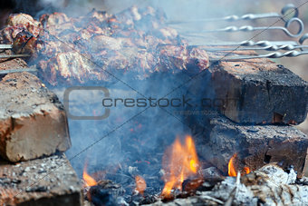 Meat on skewers over  campfire.