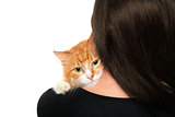 Kitten on the shoulders of women