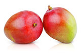Two ripe mango fruits