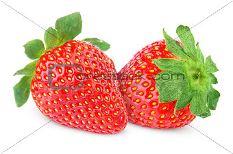 Two strawberry fruits