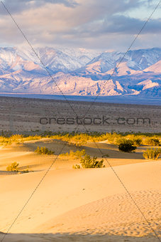 Stovepipe Wells sand dunes, Death Valley National Park, Californ