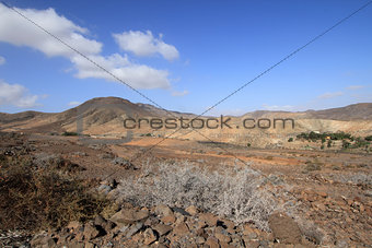 Wild landscape (Fuerteventura - Spain)