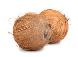 Two brown ripe coconut