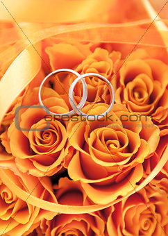 Gold wedding rings on the orange roses 