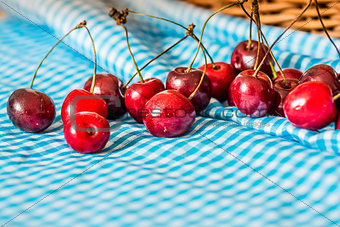 fresh cherries
