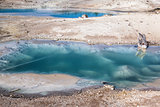 Norris Gayser Basin in Yellowstone