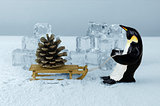 Penguin and fir cone