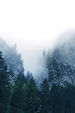 Fog in the Alps, Switzerland
