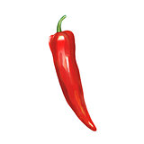 Painting of red hot chili pepper