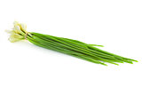 Bunch of fresh green Chives  /  isolated
