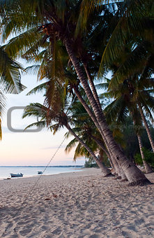 Tropical beach with coconut palms