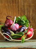 autumn harvest vegetables (eggplant, carrots, tomatoes, garlic)
