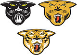Panther Big Cat Growl Head Isolated