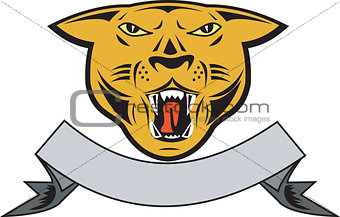Puma Big Cat Growl Head Isolated