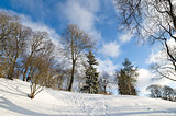 Winter landscape in the park. Sunny Day