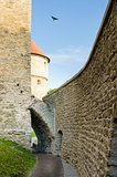 Park at medieval towers of Tallinn