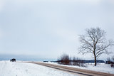 Winter landscape with tree, road and silhouettes