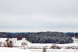 Rural winter landscape with a village and forest