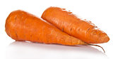 Two fresh carrots