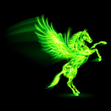 Fire Pegasus.