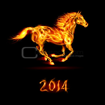 New Year 2014: fire horse.