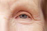 old woman gray eye