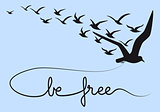 be free text flying birds, vector