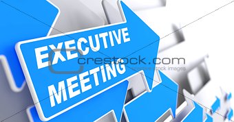 Executive Meeting on Blue Arrow.