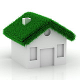 eco grass house