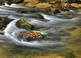 Autumn river with stones