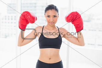 Motivated dark haired model in sportswear wearing red boxing gloves