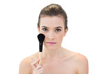 Serious natural brown haired model holding a blush brush