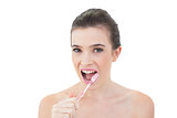 Lovely natural brown haired model brushing her teeth