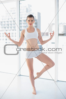 Peaceful fit brown haired model in sportswear practicing yoga