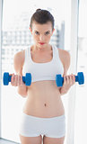Confident fit brown haired model in sportswear exercising with dumbbells