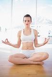 Peaceful fit brown haired model in sportswear meditating in lotus position