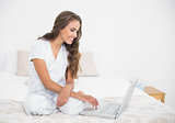 Happy attractive brunette using a laptop