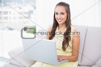 Smiling pretty brunette using laptop