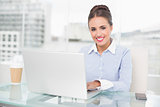 Young brunette businesswoman using laptop