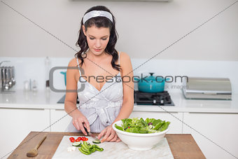 Pretty brunette chopping vegetables