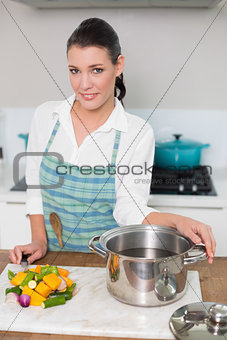 Smiling pretty woman wearing apron posing