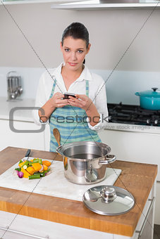 Pretty woman wearing apron texting