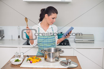 Focused gorgeous woman wearing apron using tablet while cooking