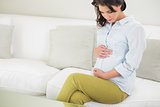 Attractive pregnant brown haired woman holding her belly