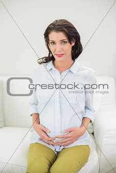 Gorgeous pregnant brown haired woman holding her belly