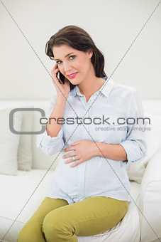 Content pregnant brown haired woman making a phone call