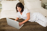 Calm pretty brown haired woman using a laptop