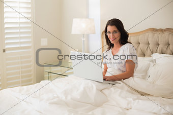 Smiling pretty brown haired woman using a laptop